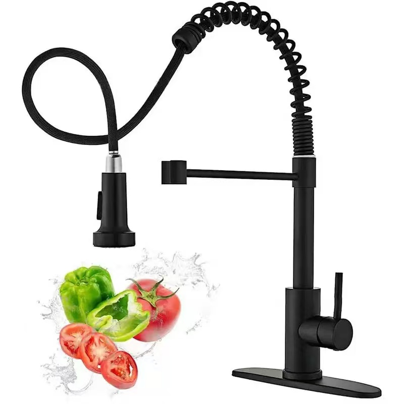 Kitchen Appliances White - RVS keukenkraan enkelgats met uittrekbare uitloop,